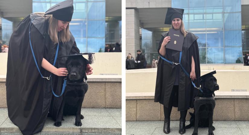 Együtt diplomázott le Artúr, a vakvezető kutya és gazdija, Brigi a Miskolci Egyetemen