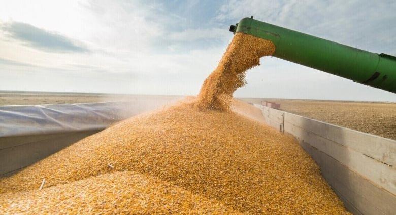Ennyi tonna ukrán búza és kukorica haladt át az év eleje óta Románián