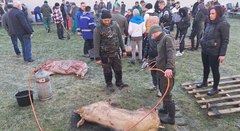 Huszonévesek böllérkedtek Karcsán