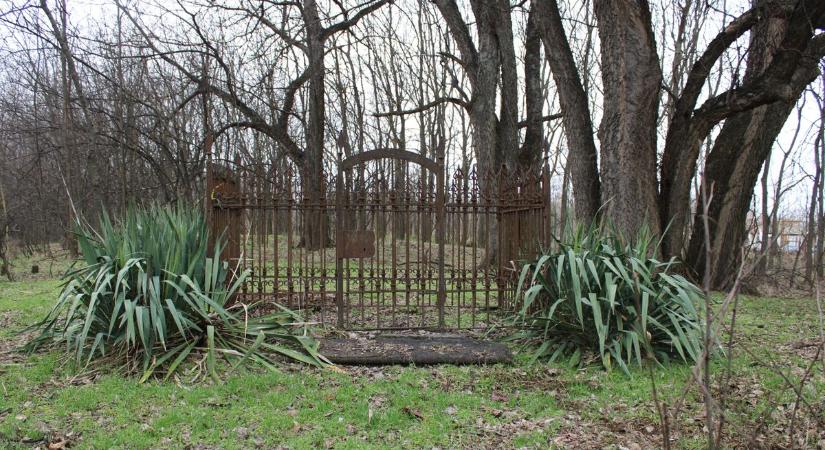 Titokzatos vaskerítést rejt az erdő, holtak százai nyugszanak a rejtélyes abonyi temetőben