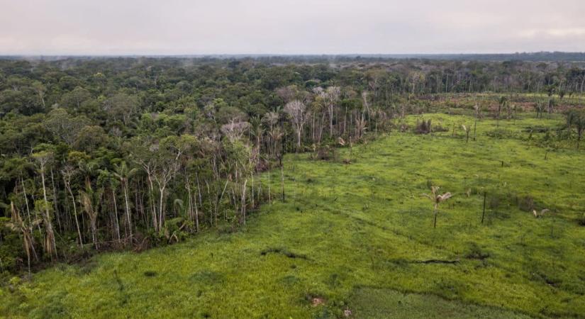 Nagy bajban az amazóniai esőerdő: gyorsabb ütemű a pusztulás, mint gondoltuk