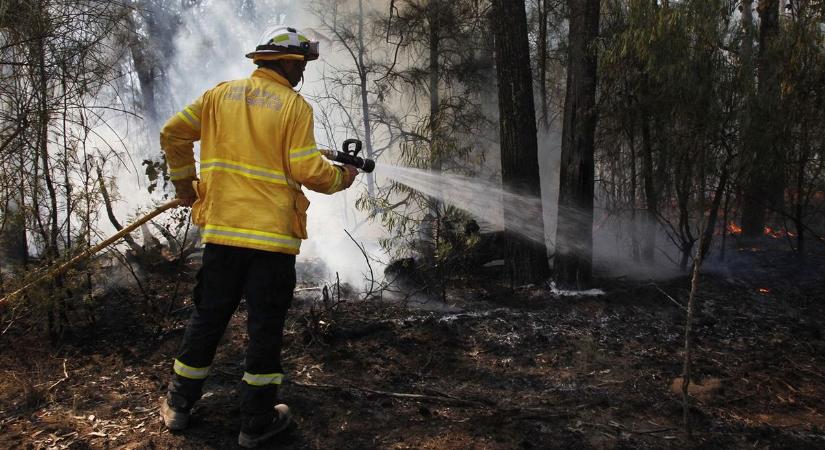Bozóttűz pusztít Ausztráliában, 50 négyzetkilométernyi terület lángol – videó