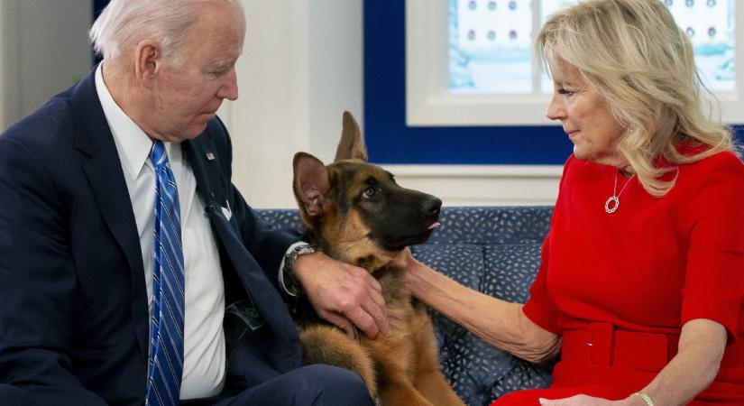 Joe Biden kutyája legalább 24 alkalommal harapta meg a titkosszolgálat ügynökeit