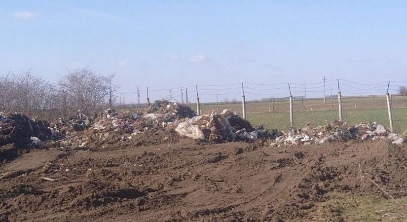 Csanádpalotai hulladék: vizsgálatot indított a kormányhivatal