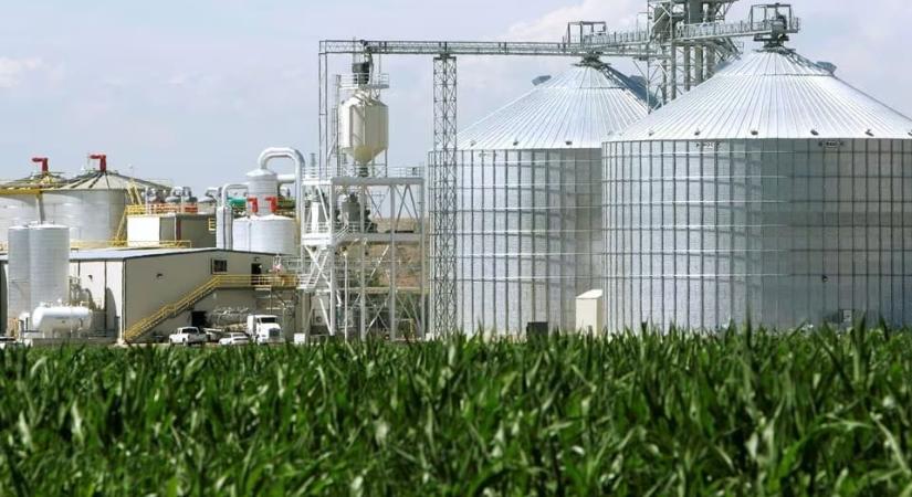 A Fehér Ház felülvizsgálja az etanol környezeti hatását
