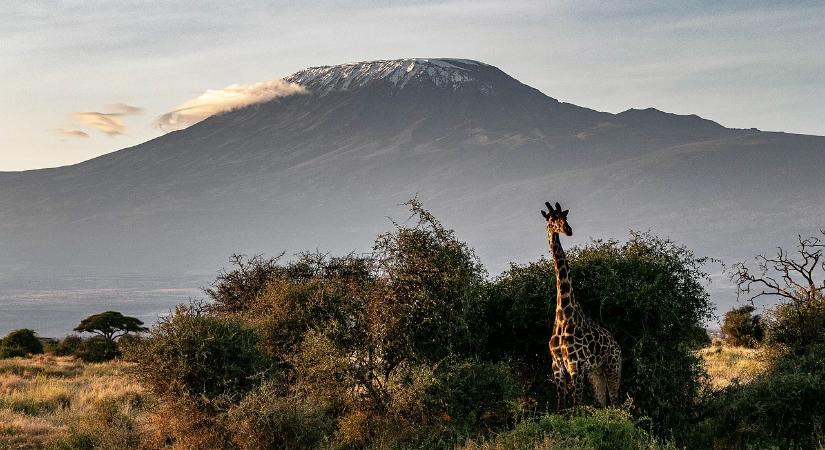 Teljesen eltűnhet a hó a Kilimandzsáróról, ami ezért óriási probléma