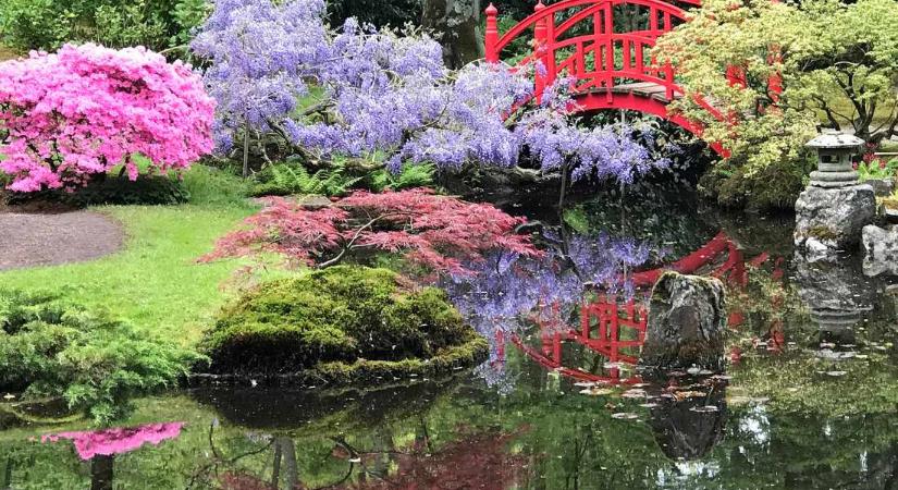 Varázslatos japánkertek, a természettel megélt egység és a nyugalom szigetei