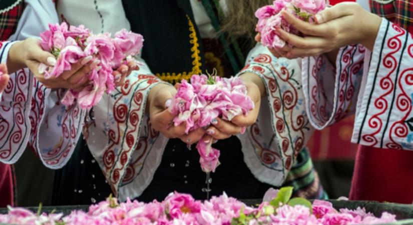 Világhírű rózsaföldek – Bulgária folyékony aranya