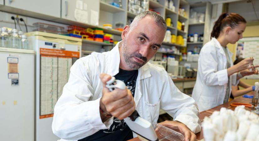 A járomspórás gombák okozta fertőzésekre keresnek új megoldást az SZTE kutatói