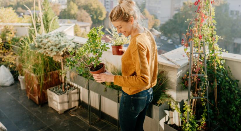 Igazi kert az erkélyen – 9 tipp, amivel nálad is valósággá válhat
