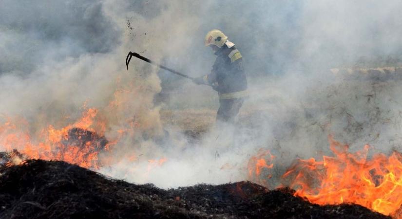 Több helyre is zöldhulladék égetése miatt riasztották a tűzoltókat