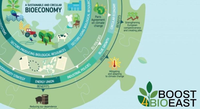 Új Horizont Európa projekt a biomassza-alapú gazdaság fellendítésére