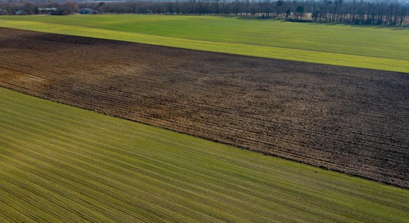 Több mint tíz év után először csökkent a termőföld ára Magyarországon tavaly