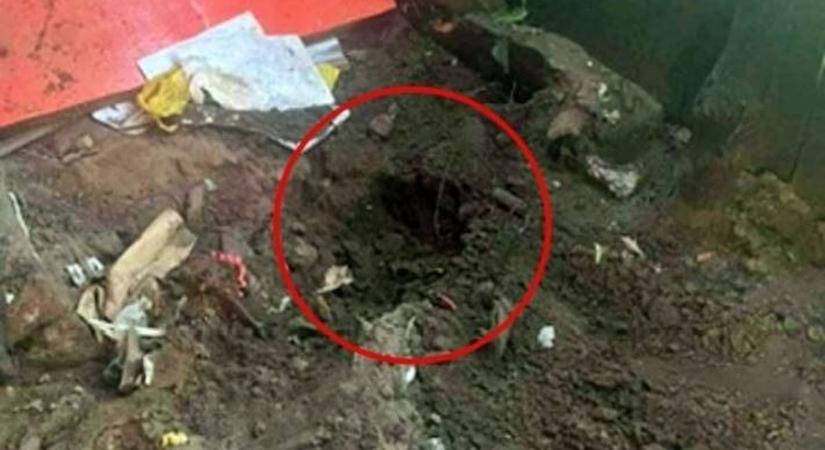 Rendőrök mentették meg a megkínzott, élve eltemetett kutyát Nyíradonyban