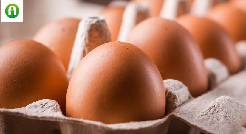 Árzuhanás: csökkent a csirkemell, a csirkecomb és a tojás ára is