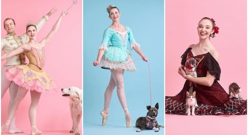 Balett táncosok kampányolnak a menhelyi kutyusok és cicusok örökbefogadásáért