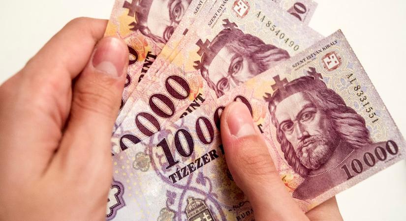 Tartós ápolást végzők időskori támogatása, nyugdíjkiegészítése – példákkal