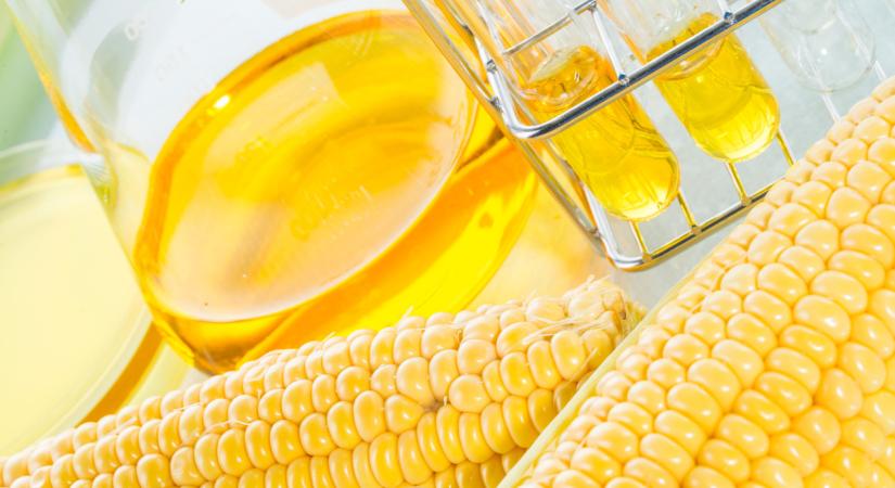 Kiderült a nagy kukoricaszirup-titok: rengeteg élelmiszerben van, erről jobb, ha tudsz!