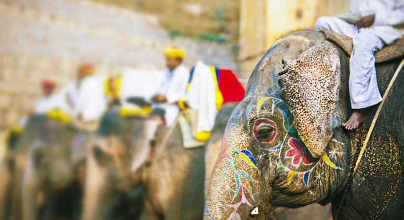 Videón, ahogy ormányával felkap és eldob egy turistát egy indiai elefánt