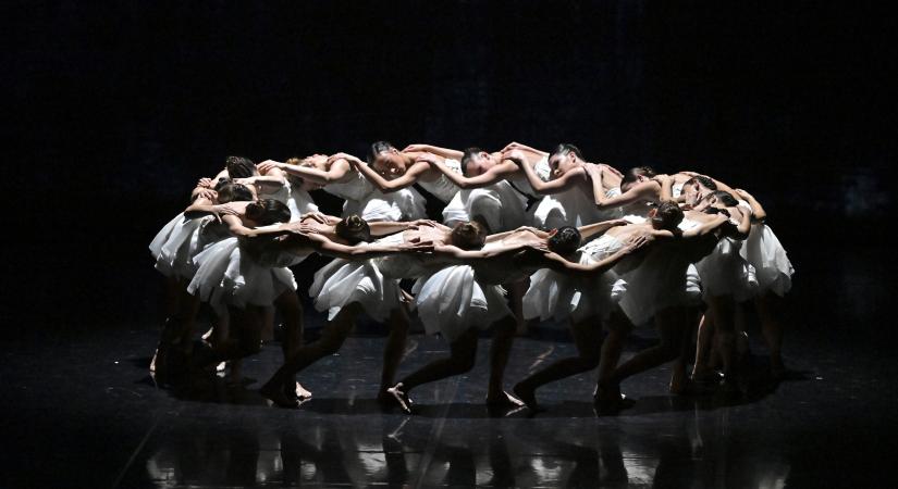 Hattyúk tava – A Margitszigetre érkezik a Ballet Preljocaj