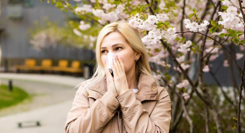 Allergiás a pázsitfűfélékre? Erről tudnia kell!