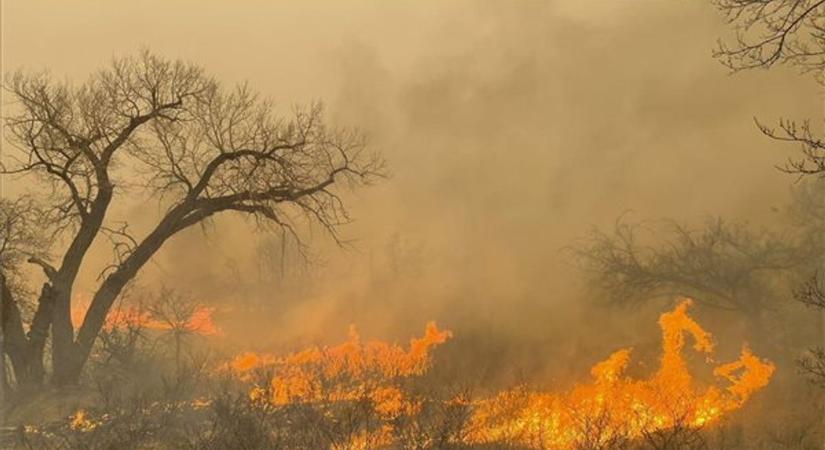 Tovább küzdenek Texasban a pusztító erdőtűzzel  videók