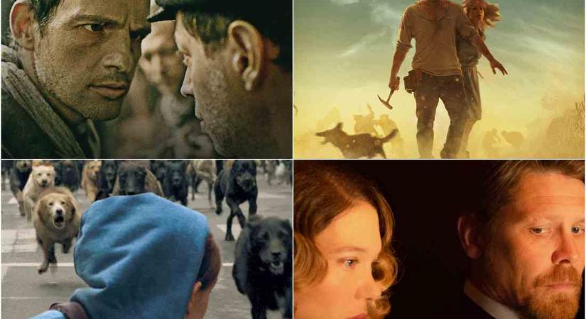 A 10 legjobb magyar film a németek szerint