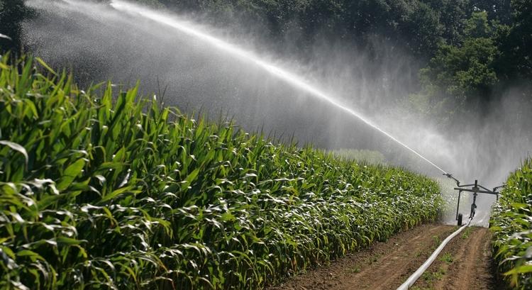 Agrárminisztérium: idén is könnyebb lesz az öntözés a gazdáknak