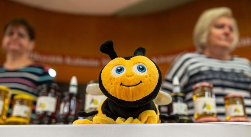 Édes élményt kínált a nemzetközi méhésztalálkozó Balassagyarmaton (fotók)