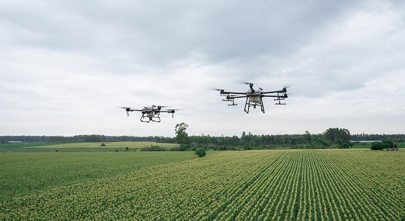 Ezt kell tudni a növényvédő szerek és növényvédelmi hatású készítmények drónos kijuttatásának kérelmezéséről