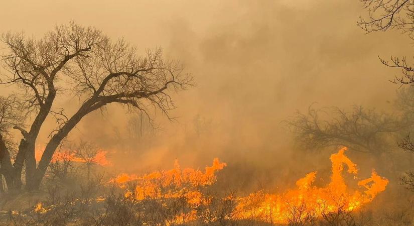 Egyre intenzívebben pusztít Texasban az erdőtűz - videó