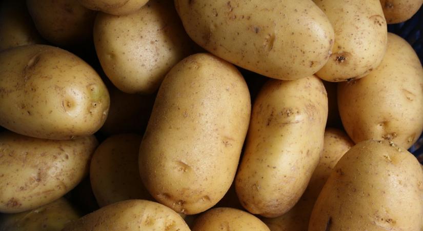 Valóban egészséges a krumpli?
