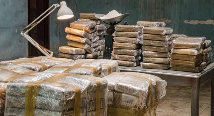 Fagyasztott halakban csempészték az 1,3 tonnányi kokaint
