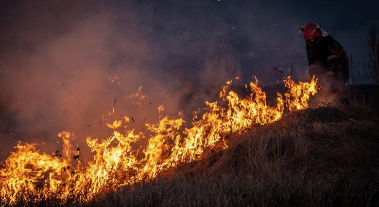 Dísznövények váltak a lángok martalékává egy Maros megyei településen