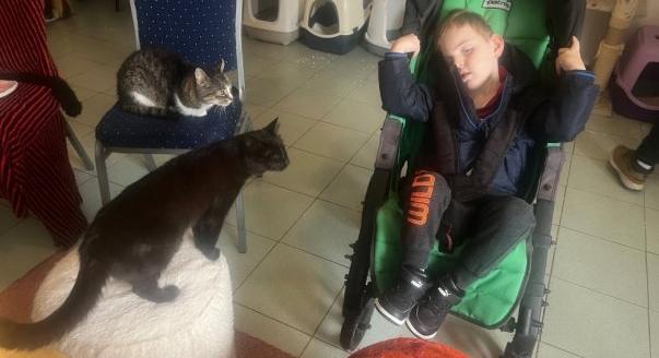 Puszikkal várták a cicák Kiss Norbi Macskaárvaházában a súlyos betegséggel született kisfiút, Zsombort