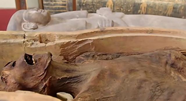 A sikoltó múmia története