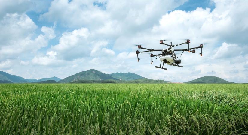 Ezt kell tudni a növényvédő szerek drónos kijuttatásának kérelmezéséről
