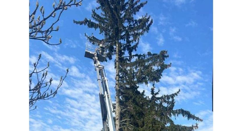 Pánik és félelem: 13 méter magasban rekedt egy férfi Nyíregyházán - Fotó