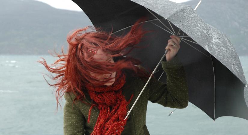 Miért göndörödik be az ember haja esős időben?