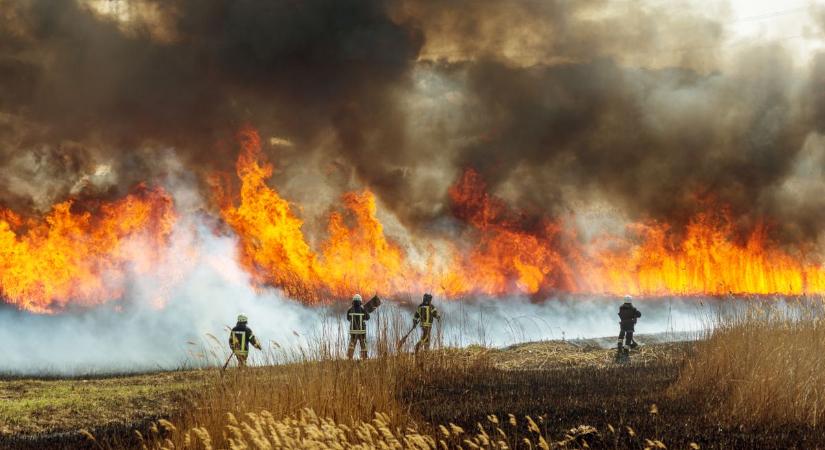 Száraz fű égett Ópályiban és Tiszavasváriban