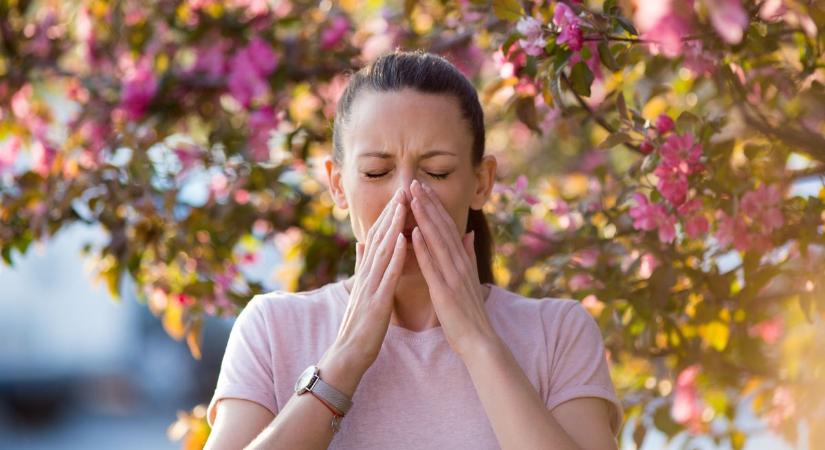 61 jótanács pollenallergiásoknak a korai tavaszra