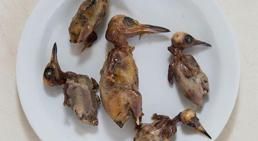 Félmillió énekesmadarat vadásztak le ősszel egy illegális ciprusi specialitás miatt