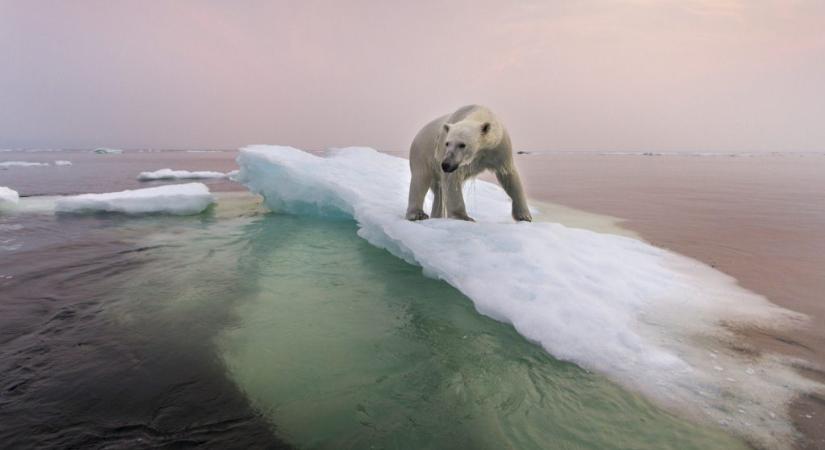 A következő évtizedre jégmentessé válhat a sarkvidék