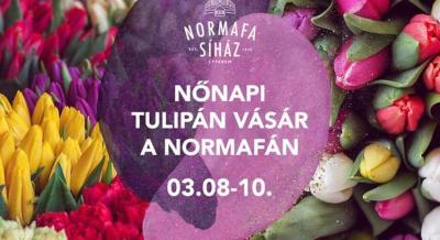 Nőnapi tulipánvásár a Normafán, 2024. március 8-10.