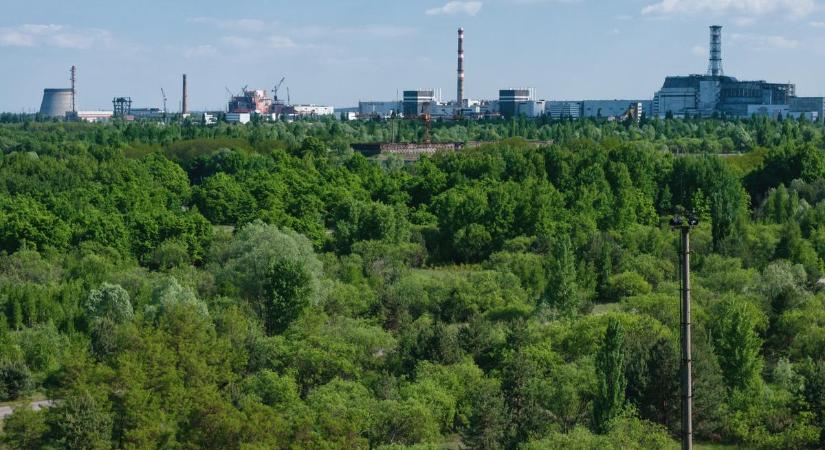 Apró férgek évtizedek óta tűrik a csernobili sugárzást. De miért járnak jól ezzel az emberek?