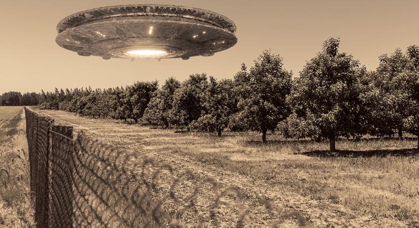 Megindultak a kutatások a lezuhant UFO után