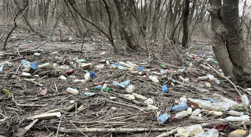 Másfél tonna hulladékot szedtek össze a Tiszából a PET Kupán