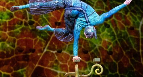 A Cirque du Soleil Budapestre hozta a bogarak életét