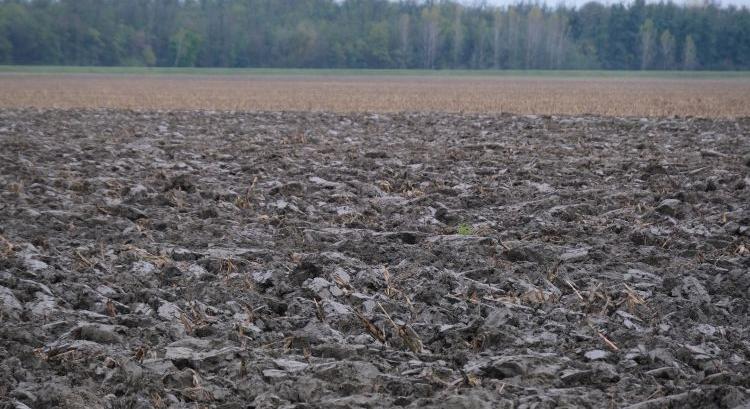 Regeneratív mezőgazdaság 11. rész – Talajmegújító mezőgazdaság – rend a káoszban