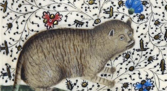 Miért voltak olyan rondák a macskák a középkori festményeken?